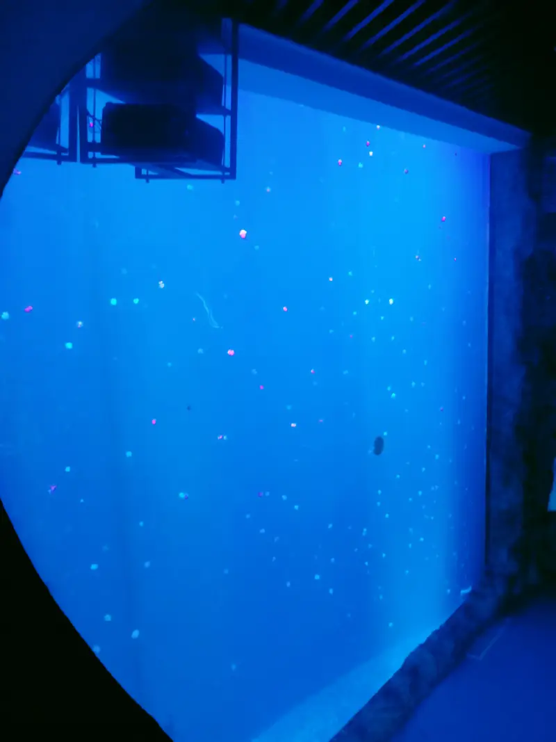 Qingdao Expo Garden Scenic Area - Jellyfish World