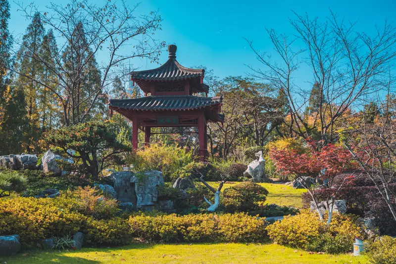 Xuanwu Lake Park-Cherry Islet