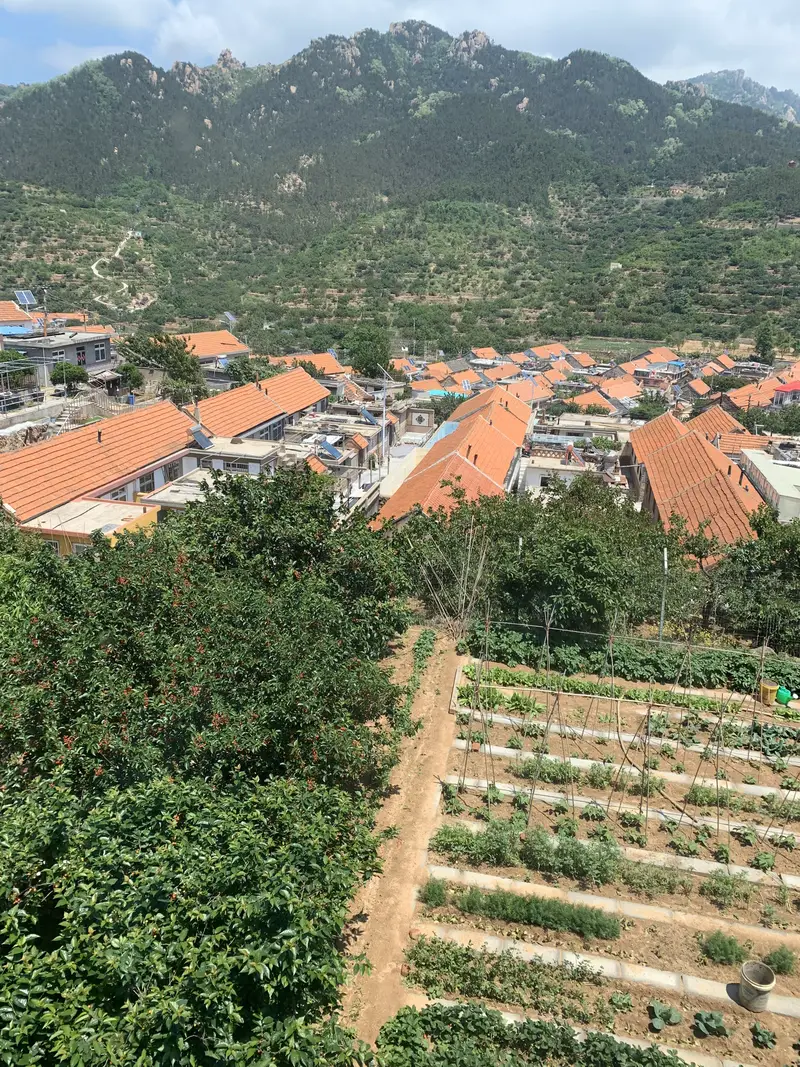 Jiang Family Cherry Orchard