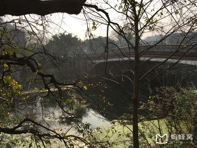 Hidden Dragon Bridge