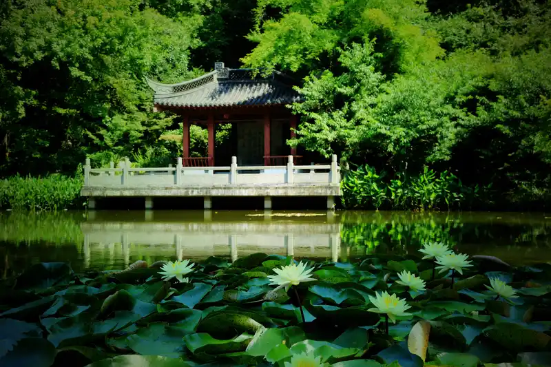Peach Blossom Lake