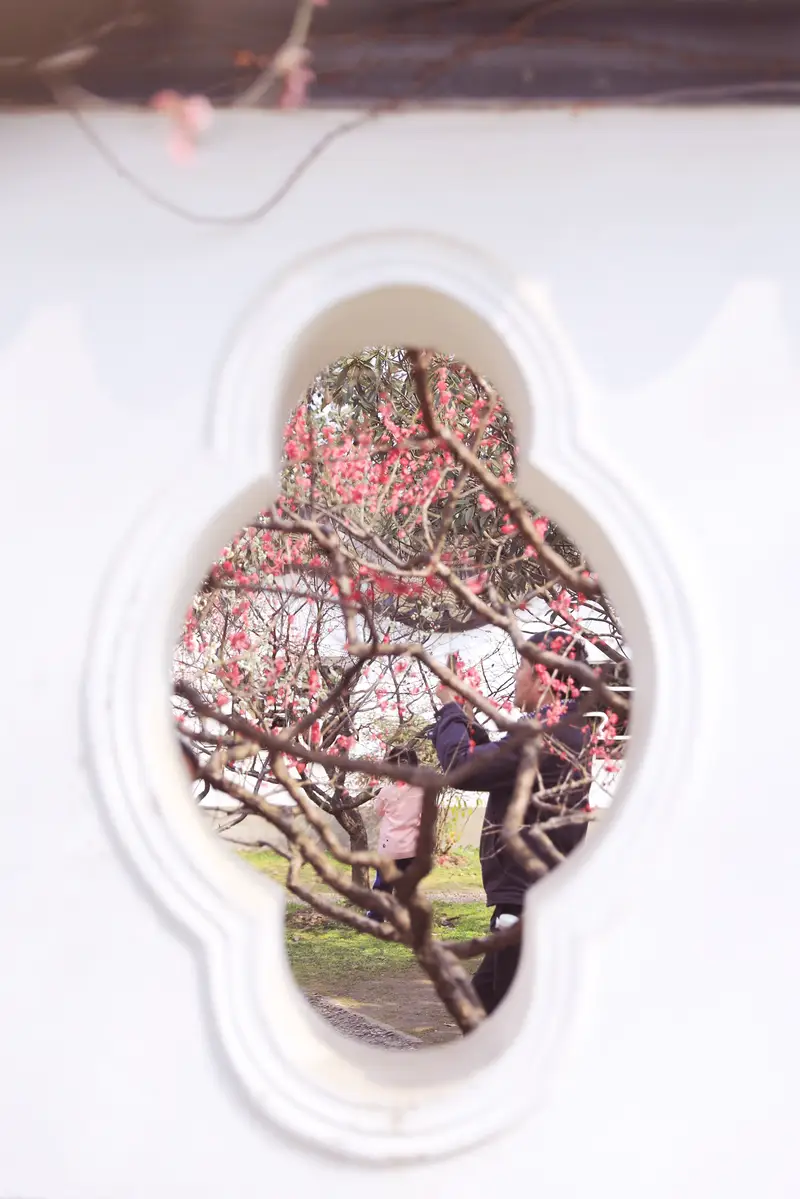 Plump View Pavilion