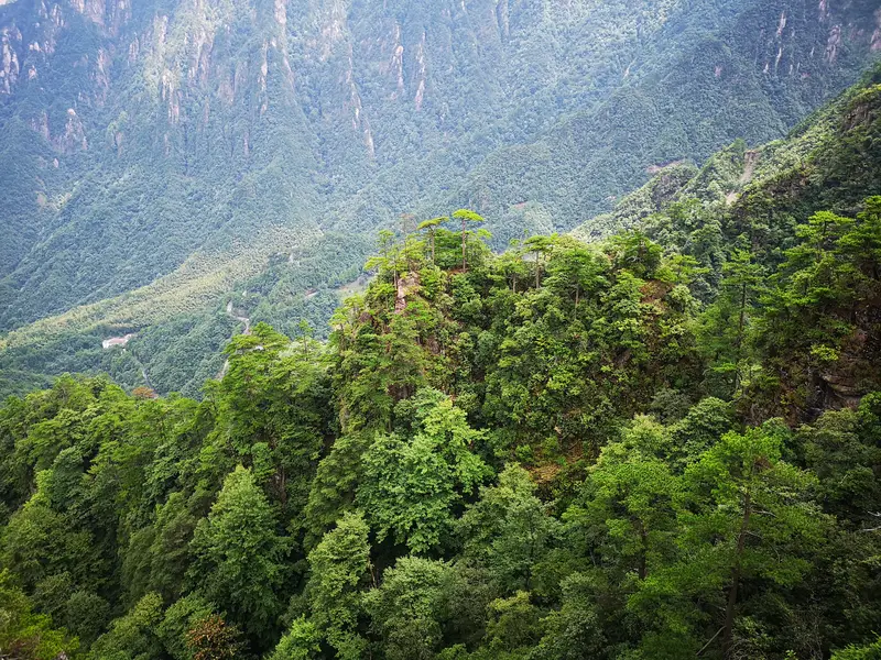 Mingfei Seven Peaks
