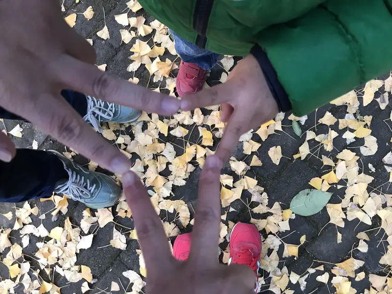 Qingliang Mountain Park - Ginkgo Valley