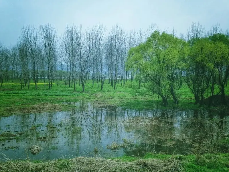 Baguazhou Wetland Park