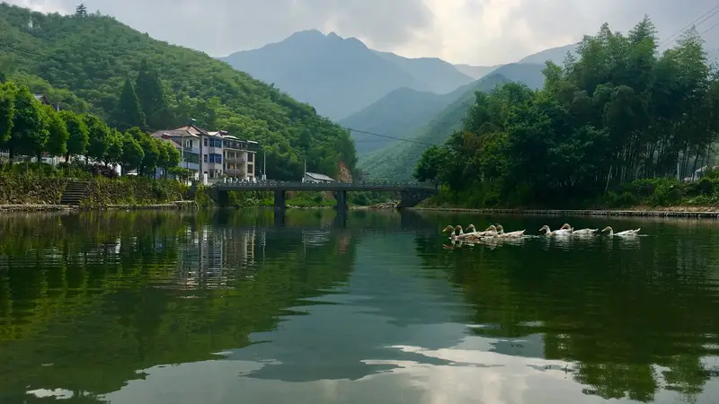 Boat Village