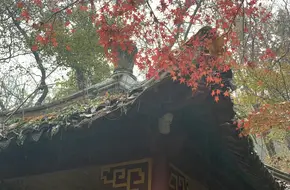 Qixia Mountain Scenic Area - Shama Peak