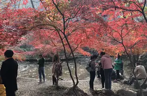 Peach Blossom Lake