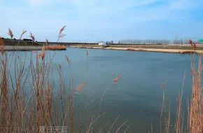 Chu River Scenic Belt