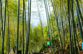 Lijiang Source Grand Canyon