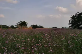 Huixian Huahai Scenic Area