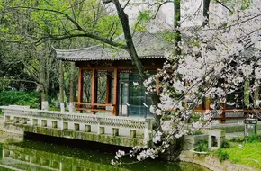 Gulin Park