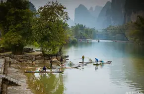 Camel Crossing The River