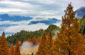 Daming Mountain