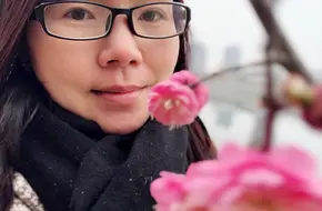 Wind-And-Rain Bridge