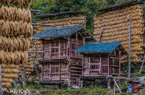 Longji Ancient Zhuang Village