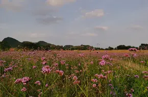 Huixian Huahai Scenic Area