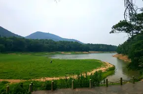 Ancient Seven Buddhas Temple