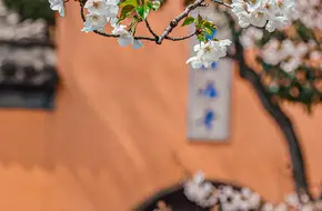 Jiming Temple