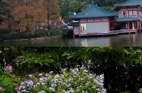 Xishan Park