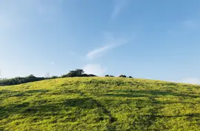 Xiaomaidao Park