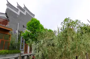 Chonghua Traditional Chinese Medicine Street
