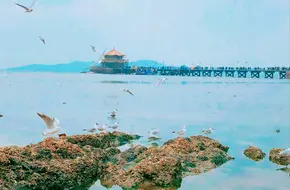 Zhanqiao Bridge