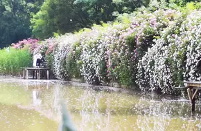 Nanjing Secret Garden
