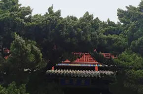 Yantai Changyu Company Original Site
