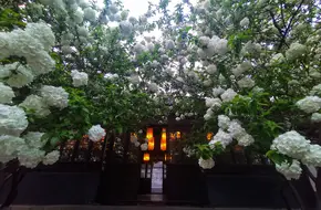Chongzheng Academy