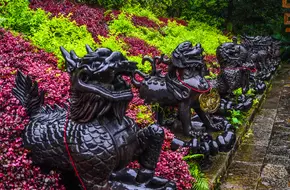 Shenlong Wellness Resort