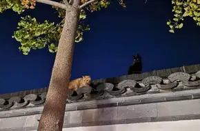Sanjiaoying Historical And Cultural Block