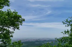 Purple Mountain Observatory,Chinese Academy Of Sciences