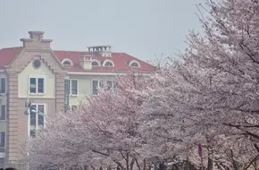 Ocean University Of China