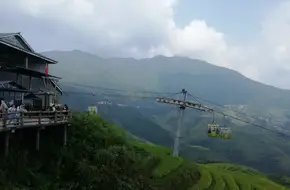 Golden Gourd Tripod View