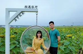Zhangwei Sunflower Garden