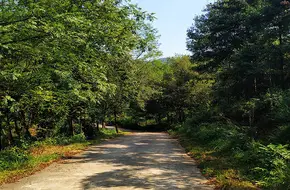 Laoshan Ring Greenway