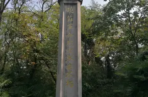 Tao Xingzhi'S Tomb