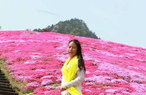 Laoshan Tea Garden Eco-Tourism Area