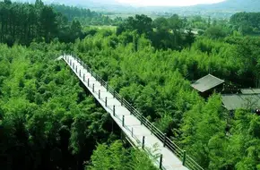 Anji Bamboo Exposition Garden