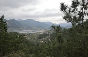 Lingyan Gu