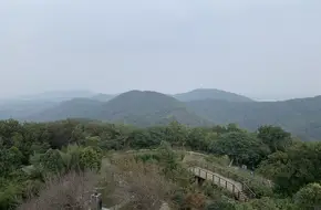 Eagle Mountain Observation Tower
