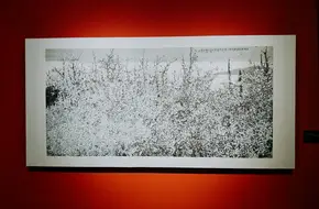 Jinling Art Gallery