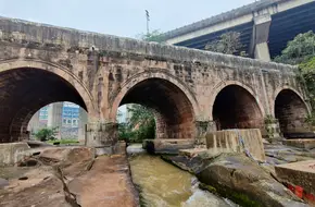 Longevity Bridge