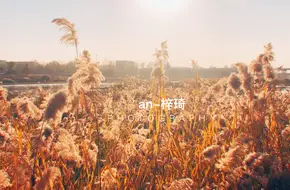 Bamboo Grove Temple Park