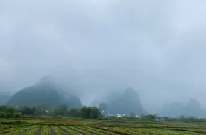 Xiatang Dock