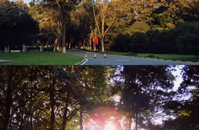 Zhongshan Scenic Area - Nanjing Zhongshan Botanical Garden - Rose Garden