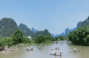 Giant Banyan Tree Scenic Area