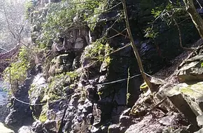 Zanglong Hundred Waterfalls Millennium Ginkgo