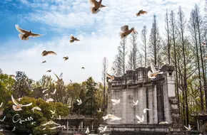 The Sun Yat-Sen Mausoleum